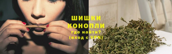 PSILOCYBIN Мегион