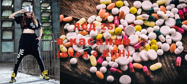 PSILOCYBIN Мегион
