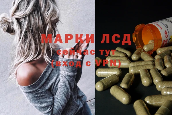 PSILOCYBIN Мегион