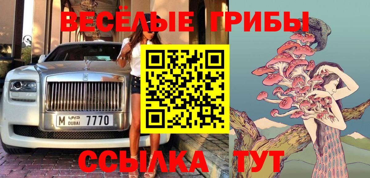 Галлюциногенные грибы Psilocybe  Вход с VPN  цена   Саранск 