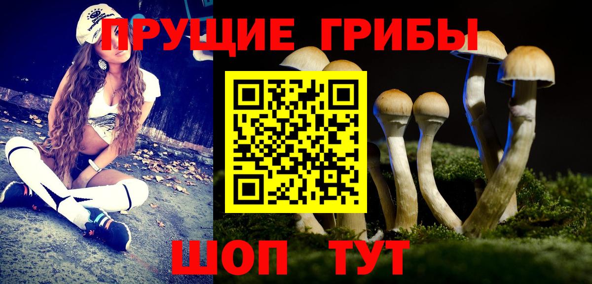 Псилоцибиновые грибы Magic Shrooms  Саранск 