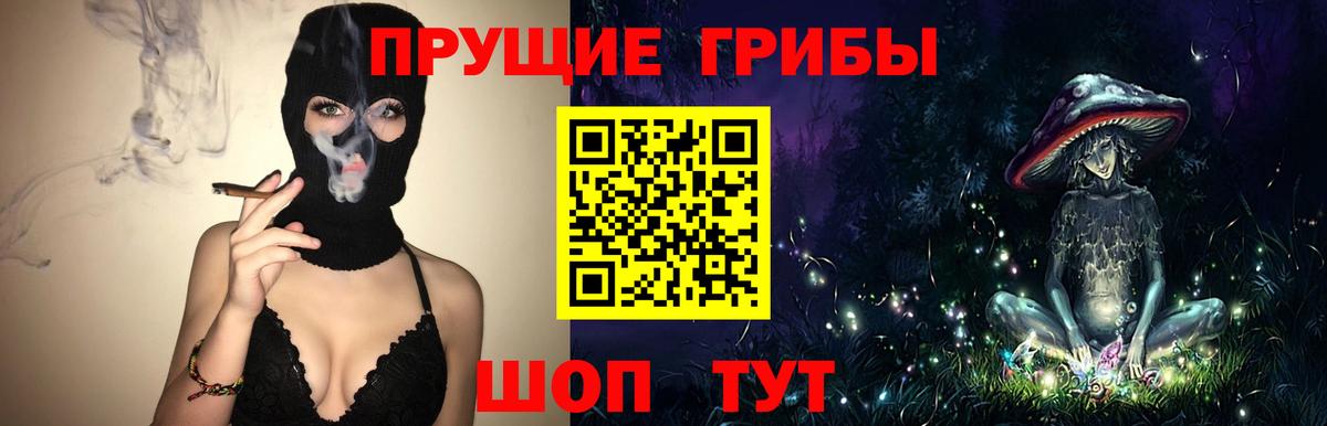 Галлюциногенные грибы Psilocybe Саранск